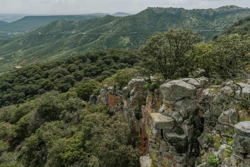 Paisaje de montaña verde con bosque y formaciones rocosas en primer plano